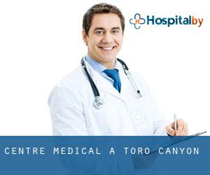 Centre médical à Toro Canyon