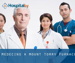 Médecins à Mount Torry Furnace