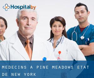 Médecins à Pine Meadows (État de New York)
