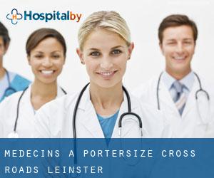 Médecins à Portersize Cross Roads (Leinster)