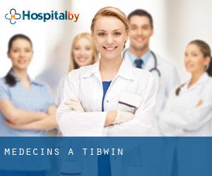 Médecins à Tibwin