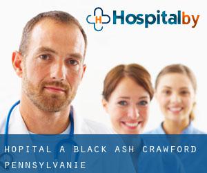 hôpital à Black Ash (Crawford, Pennsylvanie)