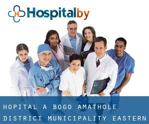 hôpital à Bogo (Amathole District Municipality, Eastern Cape)