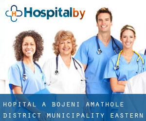 hôpital à Bojeni (Amathole District Municipality, Eastern Cape)
