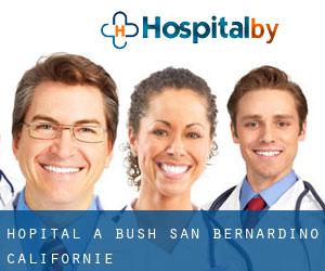 hôpital à Bush (San Bernardino, Californie)