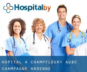 hôpital à Champfleury (Aube, Champagne-Ardenne)