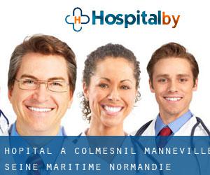 hôpital à Colmesnil-Manneville (Seine-Maritime, Normandie)