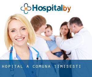 hôpital à Comuna Timişeşti