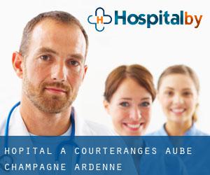 hôpital à Courteranges (Aube, Champagne-Ardenne)