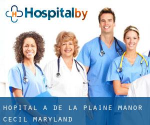 hôpital à De La Plaine Manor (Cecil, Maryland)