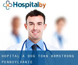 hôpital à Dog Town (Armstrong, Pennsylvanie)