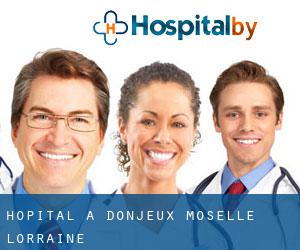 hôpital à Donjeux (Moselle, Lorraine)