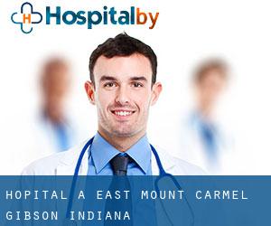 hôpital à East Mount Carmel (Gibson, Indiana)
