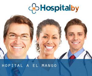 hôpital à El Mangó