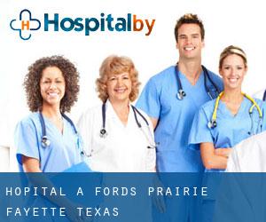 hôpital à Fords Prairie (Fayette, Texas)