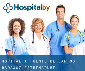 hôpital à Fuente de Cantos (Badajoz, Estrémadure)