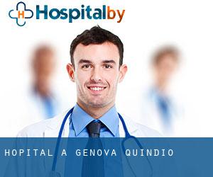 hôpital à Génova (Quindío)