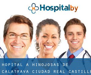 hôpital à Hinojosas de Calatrava (Ciudad Real, Castille-La-Manche)