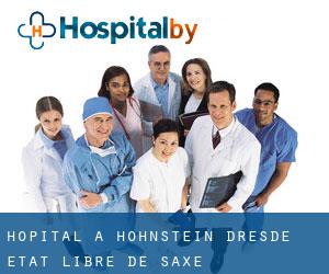 hôpital à Hohnstein (Dresde, État libre de Saxe)
