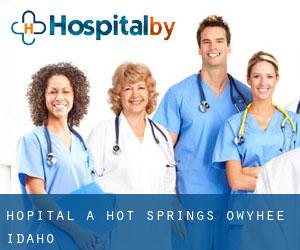 hôpital à Hot Springs (Owyhee, Idaho)
