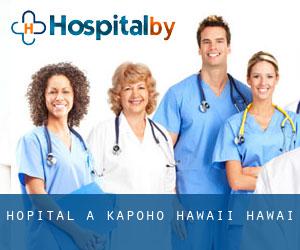 hôpital à Kapoho (Hawaii, Hawaï)