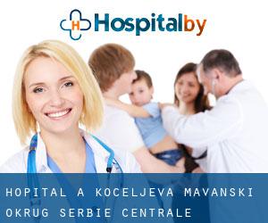 hôpital à Koceljeva (Mačvanski Okrug, Serbie centrale)