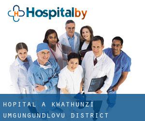 hôpital à KwaThunzi (uMgungundlovu District Municipality, KwaZulu-Natal)