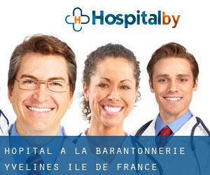 hôpital à La Barantonnerie (Yvelines, Île-de-France)