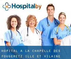 hôpital à La Chapelle-des-Fougeretz (Ille-et-Vilaine, Bretagne)