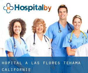 hôpital à Las Flores (Tehama, Californie)