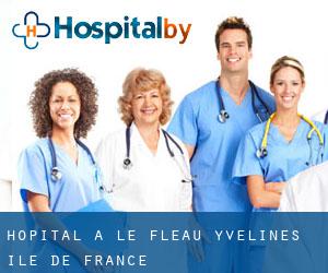 hôpital à Le Fléau (Yvelines, Île-de-France)