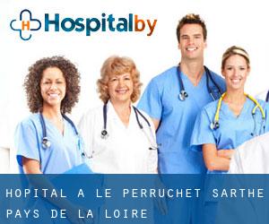 hôpital à Le Perruchet (Sarthe, Pays de la Loire)