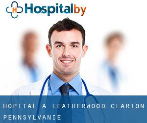 hôpital à Leatherwood (Clarion, Pennsylvanie)