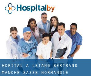 hôpital à L'Étang-Bertrand (Manche, Basse-Normandie)