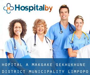 hôpital à Makgake (Sekhukhune District Municipality, Limpopo)