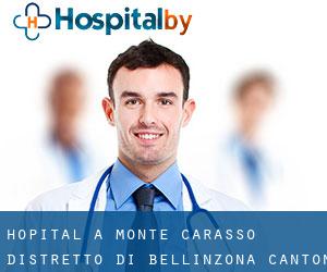 hôpital à Monte Carasso (Distretto di Bellinzona, Canton du Tessin)