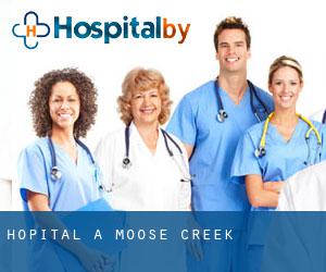 hôpital à Moose Creek