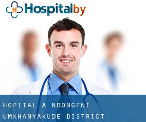 hôpital à Ndongeni (uMkhanyakude District Municipality, KwaZulu-Natal)