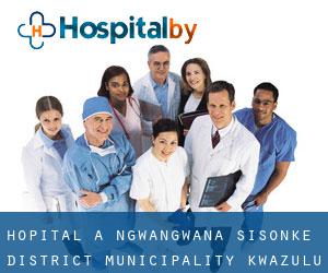 hôpital à Ngwangwana (Sisonke District Municipality, KwaZulu-Natal)