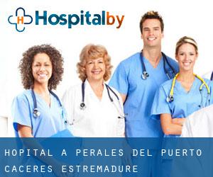 hôpital à Perales del Puerto (Caceres, Estrémadure)