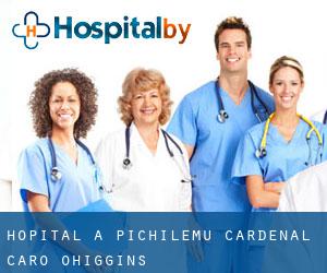 hôpital à Pichilemu (Cardenal Caro, O'Higgins)