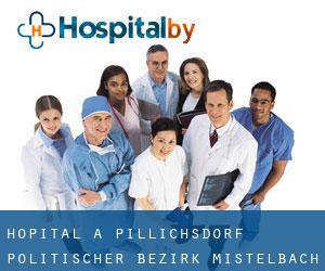 hôpital à Pillichsdorf (Politischer Bezirk Mistelbach an der Zaya, Basse-Autriche)