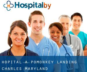 hôpital à Pomonkey Landing (Charles, Maryland)