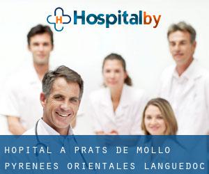 hôpital à Prats-de-Mollo (Pyrénées-Orientales, Languedoc-Roussillon)