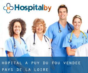 hôpital à Puy-du-Fou (Vendée, Pays de la Loire)