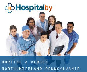 hôpital à Rebuck (Northumberland, Pennsylvanie)