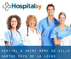 hôpital à Saint-Rémy-de-Sillé (Sarthe, Pays de la Loire)