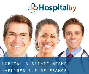 hôpital à Sainte-Mesme (Yvelines, Île-de-France)