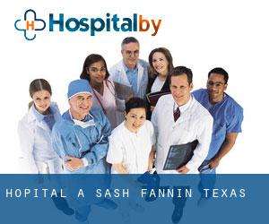 hôpital à Sash (Fannin, Texas)