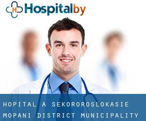 hôpital à Sekororoslokasie (Mopani District Municipality, Limpopo)